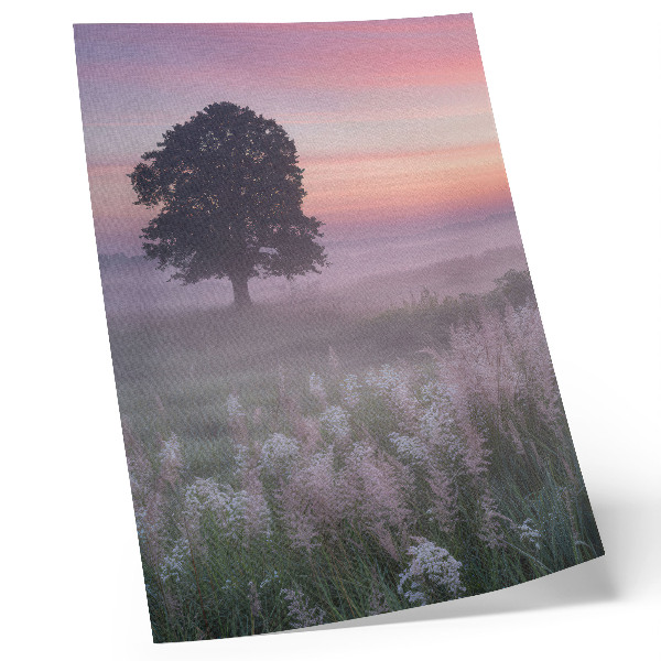 Poster Einsamer Baum im Nebel, pastellfarbener Himmel
