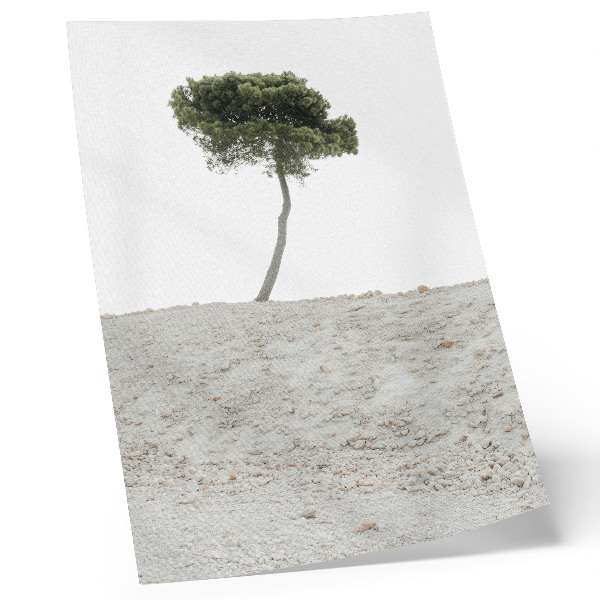Wandposter Einsamer Baum vor hellem Hintergrund, Minimalismus