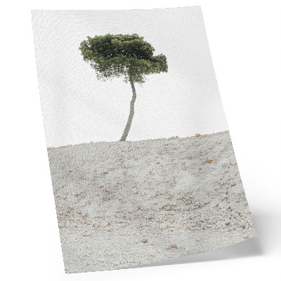 Wandposter Einsamer Baum vor hellem Hintergrund, Minimalismus