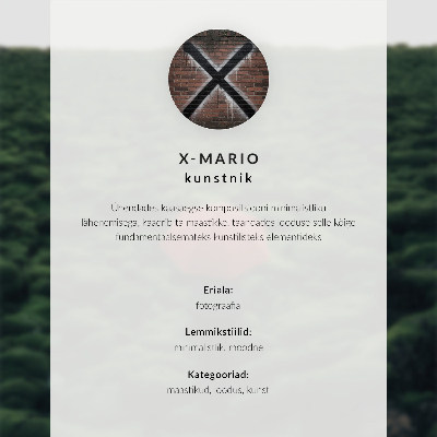 Wandposter Einsamer Baum vor hellem Hintergrund, Minimalismus