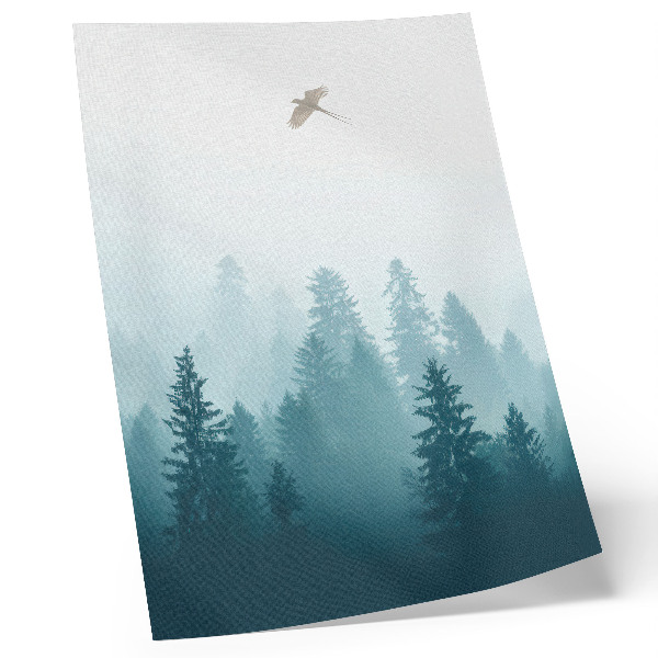 Poster Sanfter Nebelwaldvogel hoch über den Bäumen