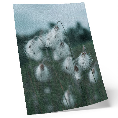 Poster Luftige Grashalme, Zartheit, Blau, Frieden