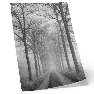 Poster Misty Tree Alley Moderner Minimalismus