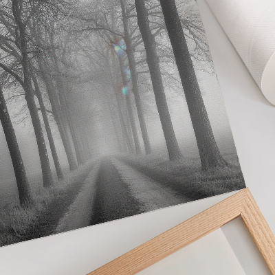 Poster Misty Tree Alley Moderner Minimalismus