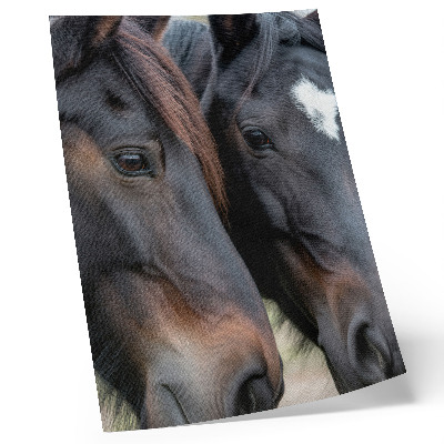 Poster Zwei Pferde in engem Kontakt, voller Eleganz