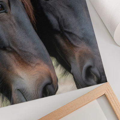 Poster Zwei Pferde in engem Kontakt, voller Eleganz