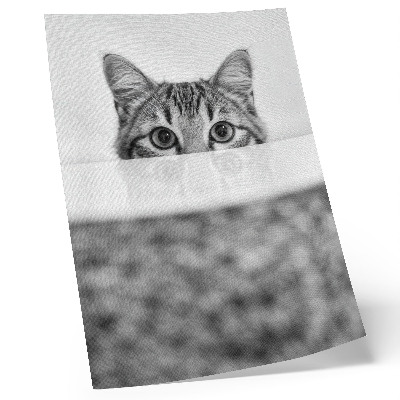 Poster Katze hinter der Oberfläche Schwarz-Weiß-Minimalismus