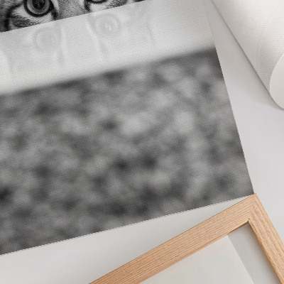 Poster Katze hinter der Oberfläche Schwarz-Weiß-Minimalismus