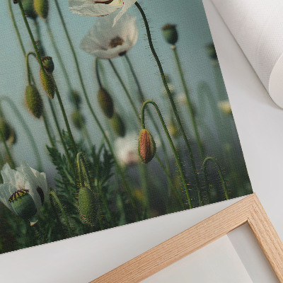 Kunstdruck leinwand Blühende Mohnblumen unter blauem Himmel