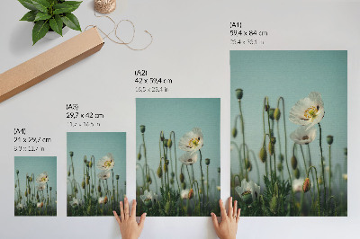 Kunstdruck leinwand Blühende Mohnblumen unter blauem Himmel