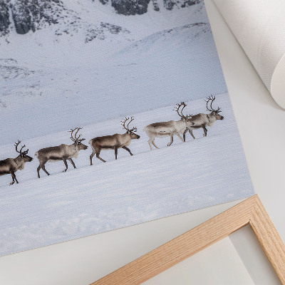 Wandposter Rentiere vor der Kulisse einer winterlichen Berglandschaft