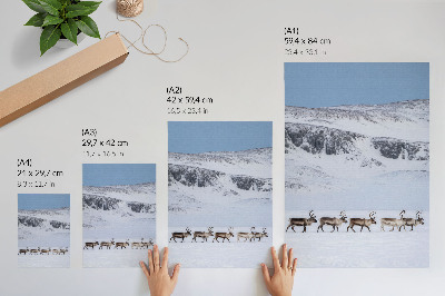 Wandposter Rentiere vor der Kulisse einer winterlichen Berglandschaft