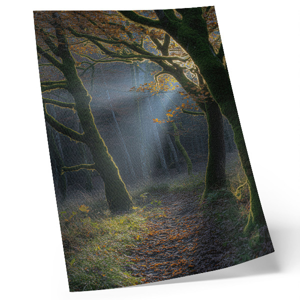 Wandposter Zauberhafter Wald, Herbstlicht, friedliche Atmosphäre