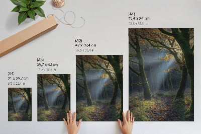 Wandposter Zauberhafter Wald, Herbstlicht, friedliche Atmosphäre