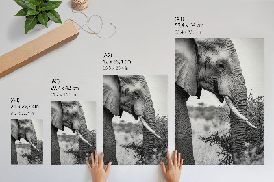 Wandposter Elefanten-Nahaufnahme, natürliche Schönheit, Harmonie der Texturen