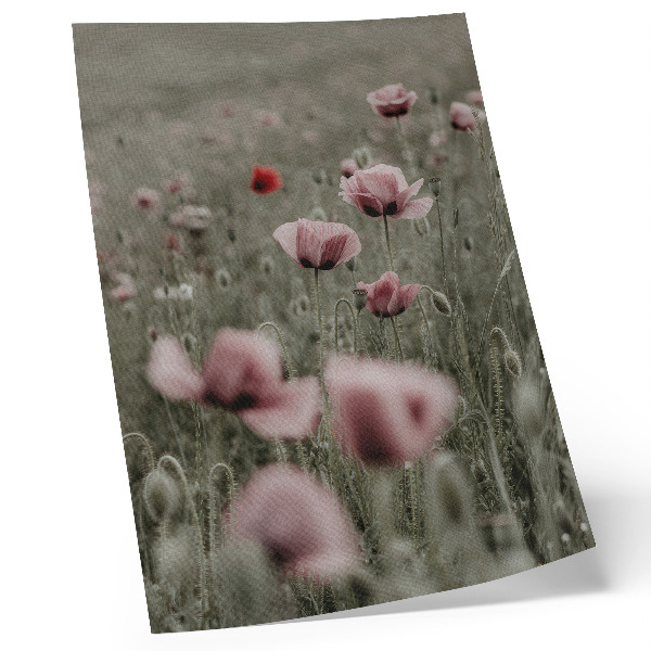 Poster Pastellfarbene Mohnblumen, romantische Atmosphäre, zarte Blüten