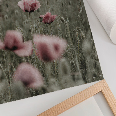Poster Pastellfarbene Mohnblumen, romantische Atmosphäre, zarte Blüten