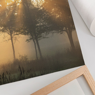 Poster Neblige Morgendämmerung, warmes Licht, Bäume – Inspiration