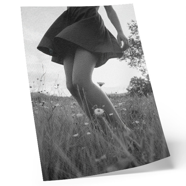 Poster Eine Schwarzweißfotografie einer Wiese voller Harmonie und Frieden.