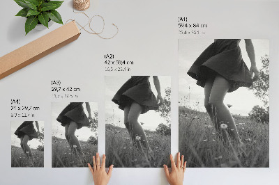 Poster Eine Schwarzweißfotografie einer Wiese voller Harmonie und Frieden.