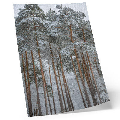 Poster Winterwald, schneebedeckte Bäume, Frieden, Harmonie, Natur