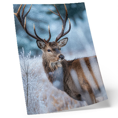 Kunstdruck leinwand Die Schönheit der Natur, Winterlandschaft, majestätische Hirsche