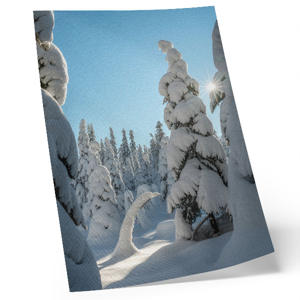 Poster Schneebedeckte Bäume, blauer Himmel, Sonnenschein