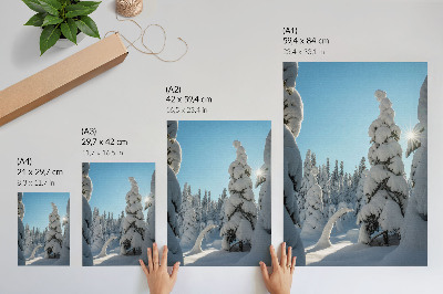 Poster Schneebedeckte Bäume, blauer Himmel, Sonnenschein