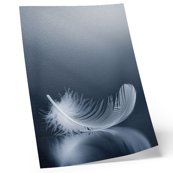 Poster Weiße Feder auf grauem Hintergrund, Symbol für Frieden und Harmonie