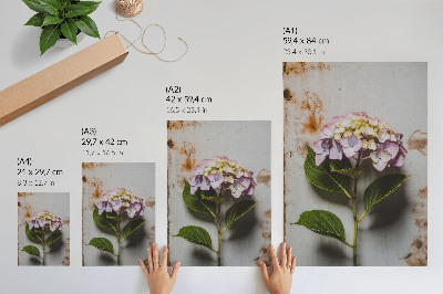 Poster Rosa Hortensienblätter, rustikaler Hintergrund