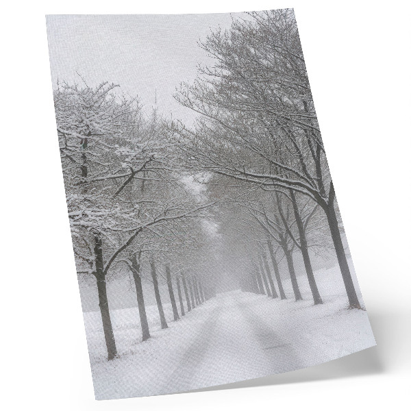 Poster Symmetrische Allee aus Winterbäumen, Schnee, Nebel