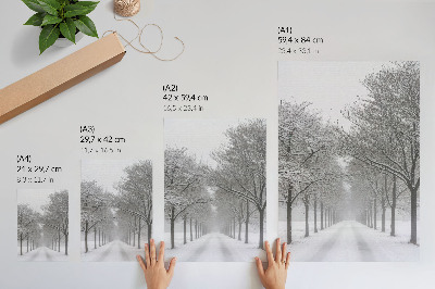 Poster Symmetrische Allee aus Winterbäumen, Schnee, Nebel