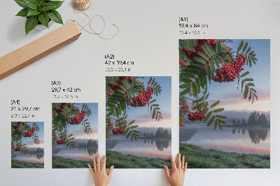 Poster See am Morgen, Eberesche, zarter Nebel, Natur