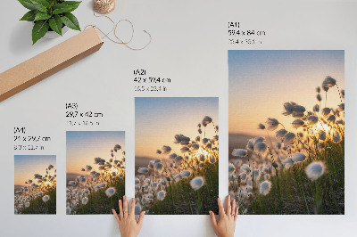 Kunstdruck leinwand Gräser im Sonnenuntergang, warme Farben, Natürlichkeit