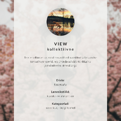 Kunstdruck leinwand Zarte Blumen, Minimalismus, Eleganz, Subtilität