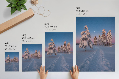 Wandposter Winterlandschaft mit schneebedeckten Bäumen und dem Mond