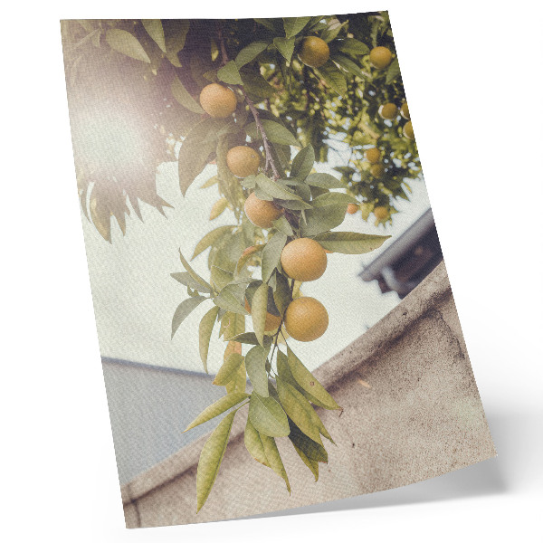 Poster Baumzweig, sonnengrüne Blätter, orangefarbene