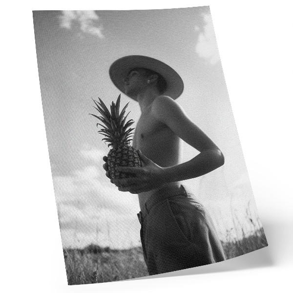 Kunstdruck leinwand Monochrome Figur Hut Ananasfeld