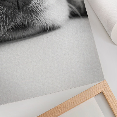 Kunstdruck leinwand Nahaufnahme eines Hundes, Schwarz-Weiß-Textur, Minimalismus