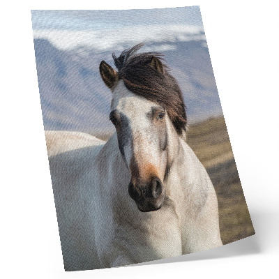 Wandposter Die natürliche Schönheit eines Pferdes vor der Kulisse der Berge, Ruhe, Einfachheit