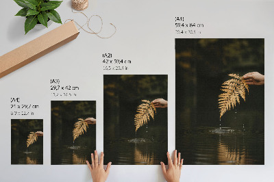 Poster Farn über dem Wasser, harmonische Tropfen, Spiegelung