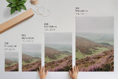 Kunstdruck leinwand Lila Heidekraut, nebelgrüne sanfte Hügel