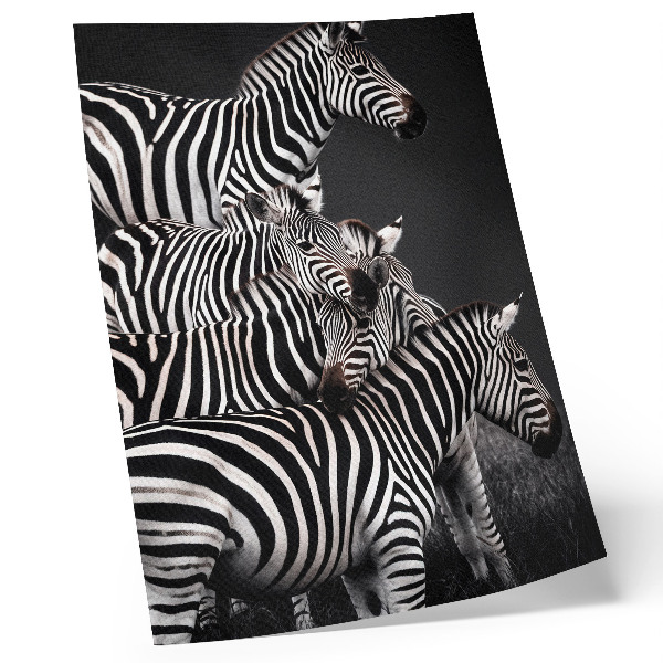 Wandposter Zebra-Kontrastlinien aus schwarzen und weißen vertikalen Linien