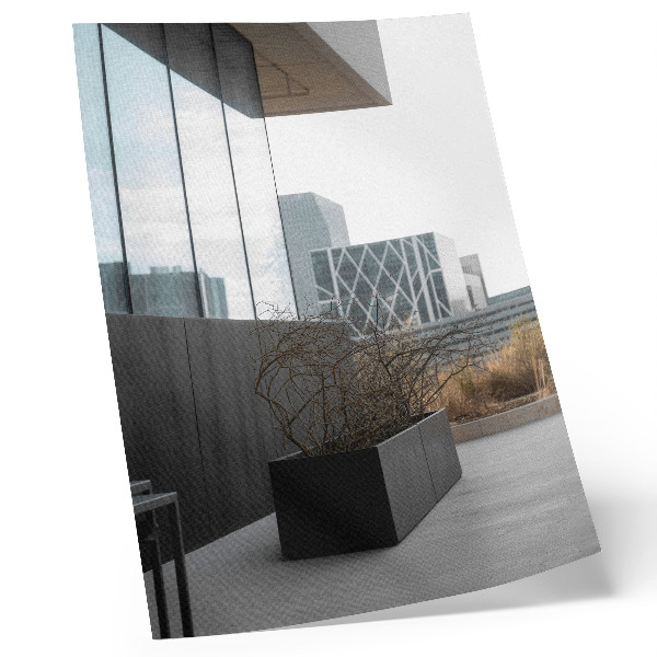 Kunstdruck leinwand Moderne Gebäude und trockene Äste