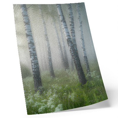 Wandposter Birken im Nebel, weiße Rinde, grünes Gras