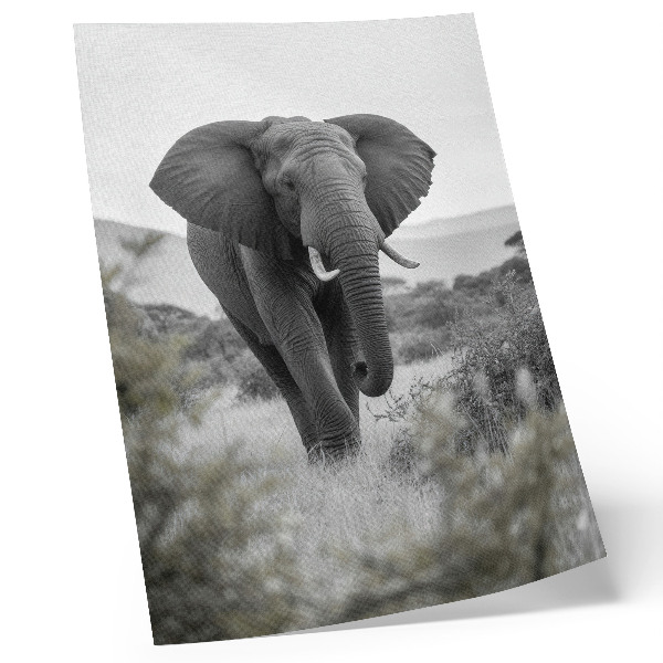Poster Ein großer Elefant vor natürlichem Hintergrund