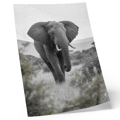 Poster Ein großer Elefant vor natürlichem Hintergrund