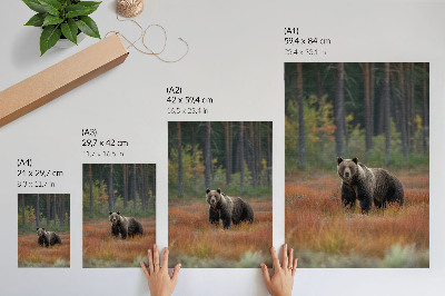 Kunstdruck leinwand Bären im Herbstwald Natürlichkeit und Ruhe
