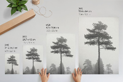 Wandposter Schwarzer und weißer Baum im Nebel, einzigartige Stille