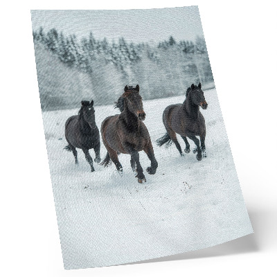 Poster Schwarze Pferde in Bewegung vor schneebedecktem Hintergrund